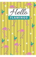 Hello Flamingo