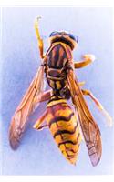 Hornet Ready for a Close-Up Journal: 150 page lined notebook/diary