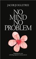 No Mind No Problem