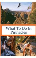 What To Do In Pinnacles