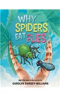 Why Spiders Eat Flies