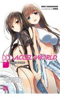 Accel World, Vol. 17 (Light Novel): Cradle of Stars Volume 17