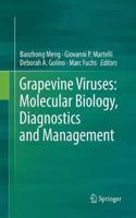 Grapevine Viruses: Molecular Biology, Diagnostics and Management