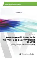 Euler-Bernoulli beam with tip mass and passivity-based control