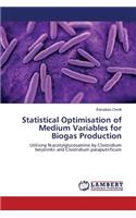 Statistical Optimisation of Medium Variables for Biogas Production