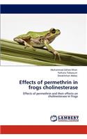 Effects of permethrin in frogs cholinesterase