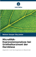 MicroRNA-Expressionsanalyse bei Urothelkarzinom der Harnblase