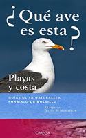 Â¿QUE AVE ES ESTA?: Playas y costa