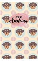 You're Amazing
