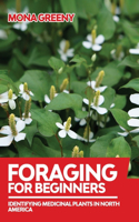 Foraging For Beginners: Identifying Medicinal Plants in North America