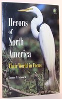 Herons of North America: Their World in Focus (Ap Natural World)