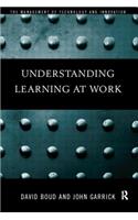 Understanding Learning at Work