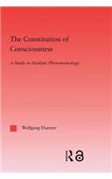 Constitution of Consciousness