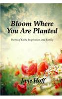 Bloom Where You are Planted