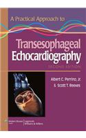 Practical Approach to Transesophageal Echocardiography