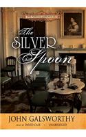 Silver Spoon