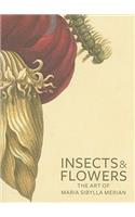 Insects and Flowers: The Art of Maria Sibylla Merian