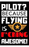 Pilot? Because Flying Is F*cking Awesome!