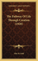 The Pathway Of Life Through Creation (1920)