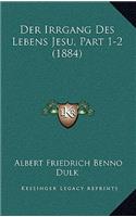 Der Irrgang Des Lebens Jesu, Part 1-2 (1884)