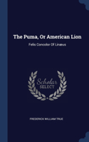 The Puma, Or American Lion: Felis Concolor Of Linæus