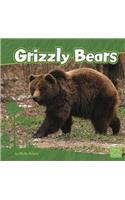 Grizzly Bears