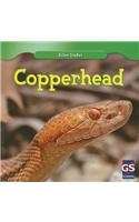 Copperhead
