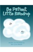Be Patient, Little Raindrop