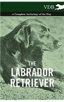 The Labrador Retriever - A Complete Anthology of the Dog: (English)