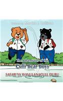 The Adventures of the Culli Bear Boys