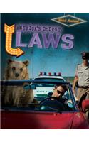 America's Oddest Laws