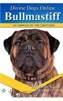 Bullmastiffs