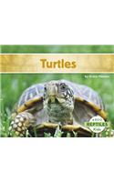 Turtles