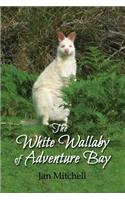 White Wallaby of Adventure Bay