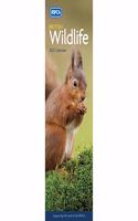 BRITISH WILDLIFE RSPCA SLIM CALENDAR 202