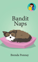 Bandit Naps: (We Can Readers)