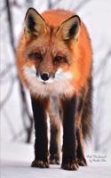 Red Fox Journal: (Blank Book, Notebook, Diary)