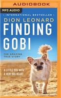 Finding Gobi