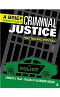 Brief Introduction to Criminal Justice