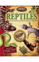 Reptiles