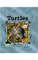 Turtles