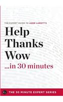 Help, Thanks, Wow in 30 Minutes - The Expert Guide to Anne Lamott's Critically Acclaimed Book (the 30 Minute Expert Series)