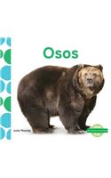 Osos (Bears) (Spanish Version)