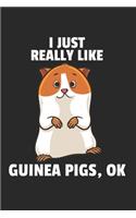 Meerschweinchen Notizbuch: Meerschweinchen Notizbuch für Liebhaber / Notizheft / Notizblock A5 (6x9in) Dotted Notebook / Punkteraster / 120 gepunktete Seiten