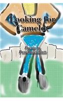 Looking for Camelot
