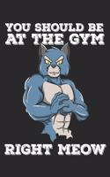 You Should Be At The Gym Right Meow