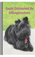 Easily Distracted By Affenpinschers