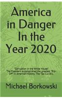 America in Danger In the Year 2020