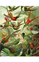 Haeckel's Hummingbirds Composition Notebook: Wide Ruled