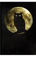 Full Moon Owl